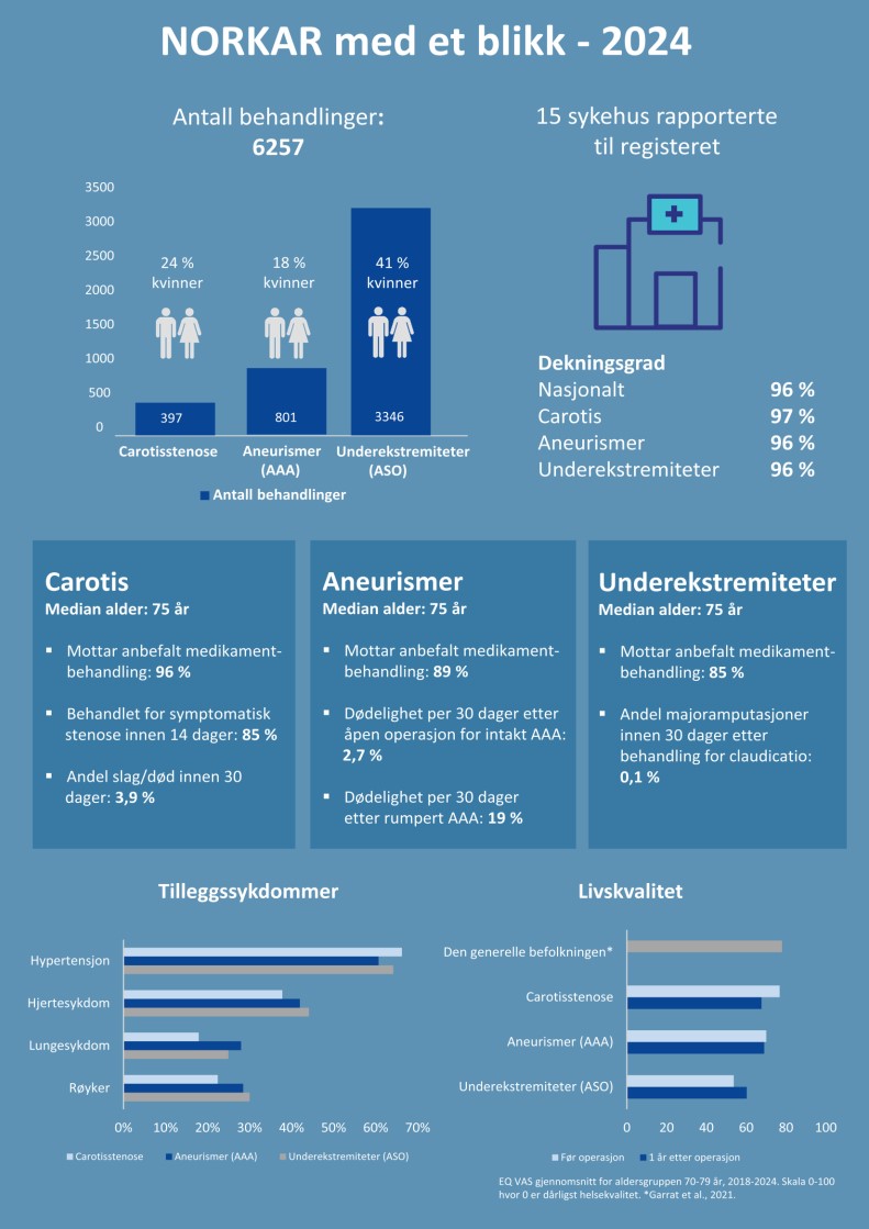 stolpediagram i blått med tall og tegninger