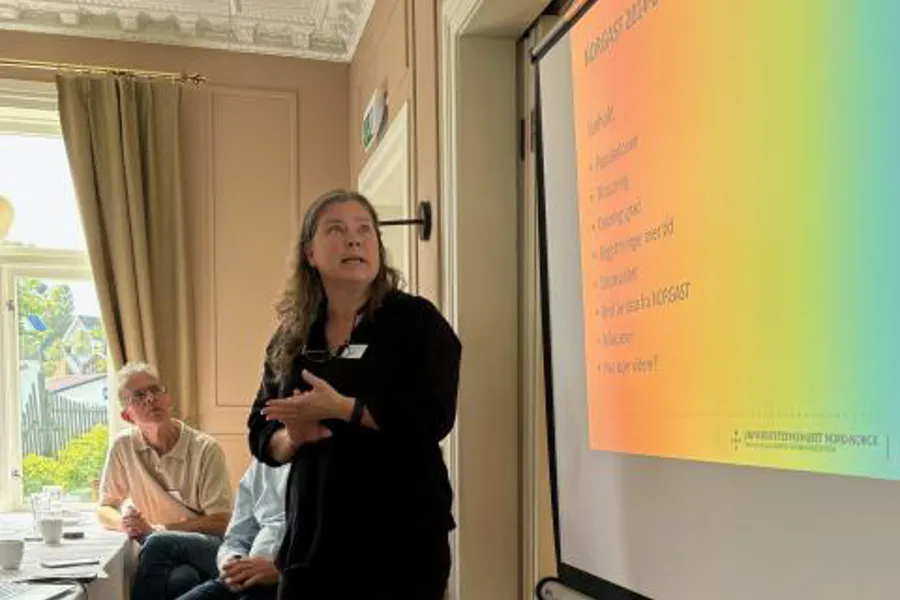 En person som holder en presentasjon